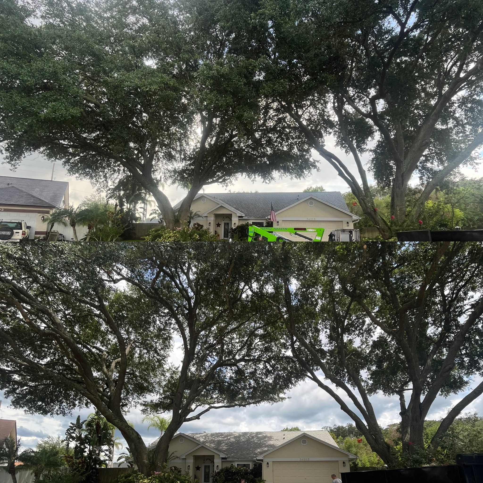 Before and After - Clarke's Pro Tree Service
